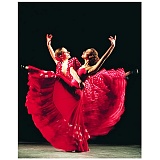 Танцовщицы - алмазная живопись на подрамнике DV-9565-13