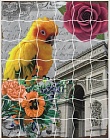 Мозайка - стикер пазл Волнистый попугайчик XD11
